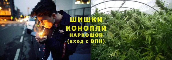 СК Абинск