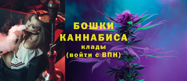 СК Абинск