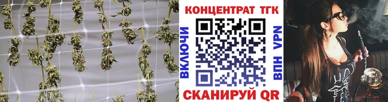 ТГК концентрат Поворино